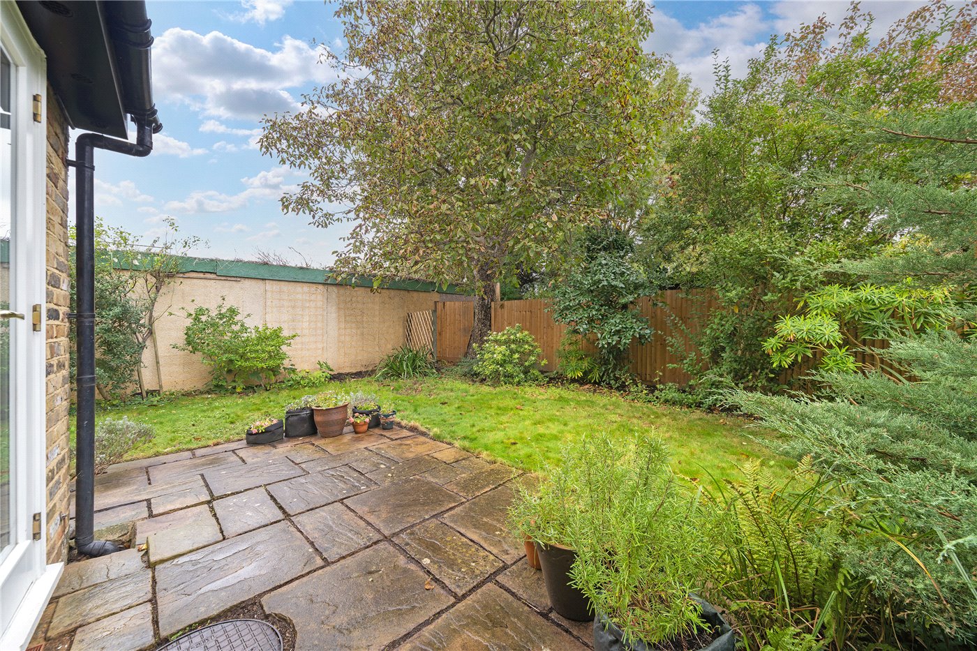 Garden Part Five